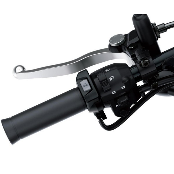 Kawasaki W800 GRIP HEATER